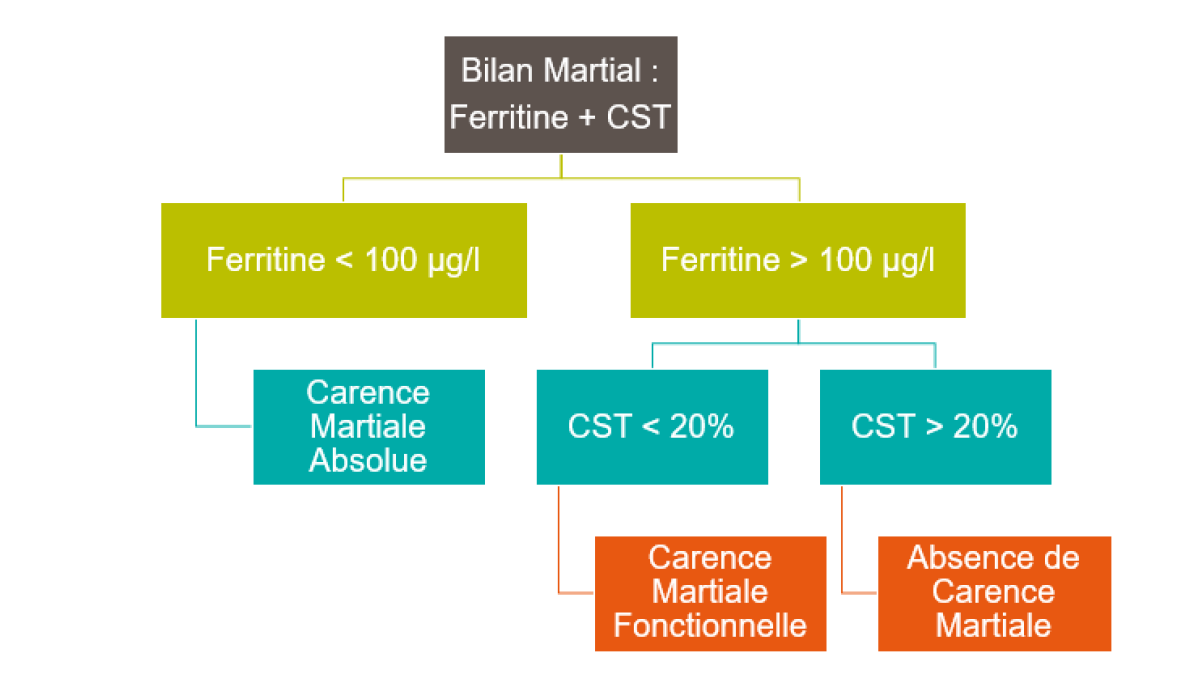 Manuel pratique d'oncologie BIOLOGIE MÉDICALE FLASH labo